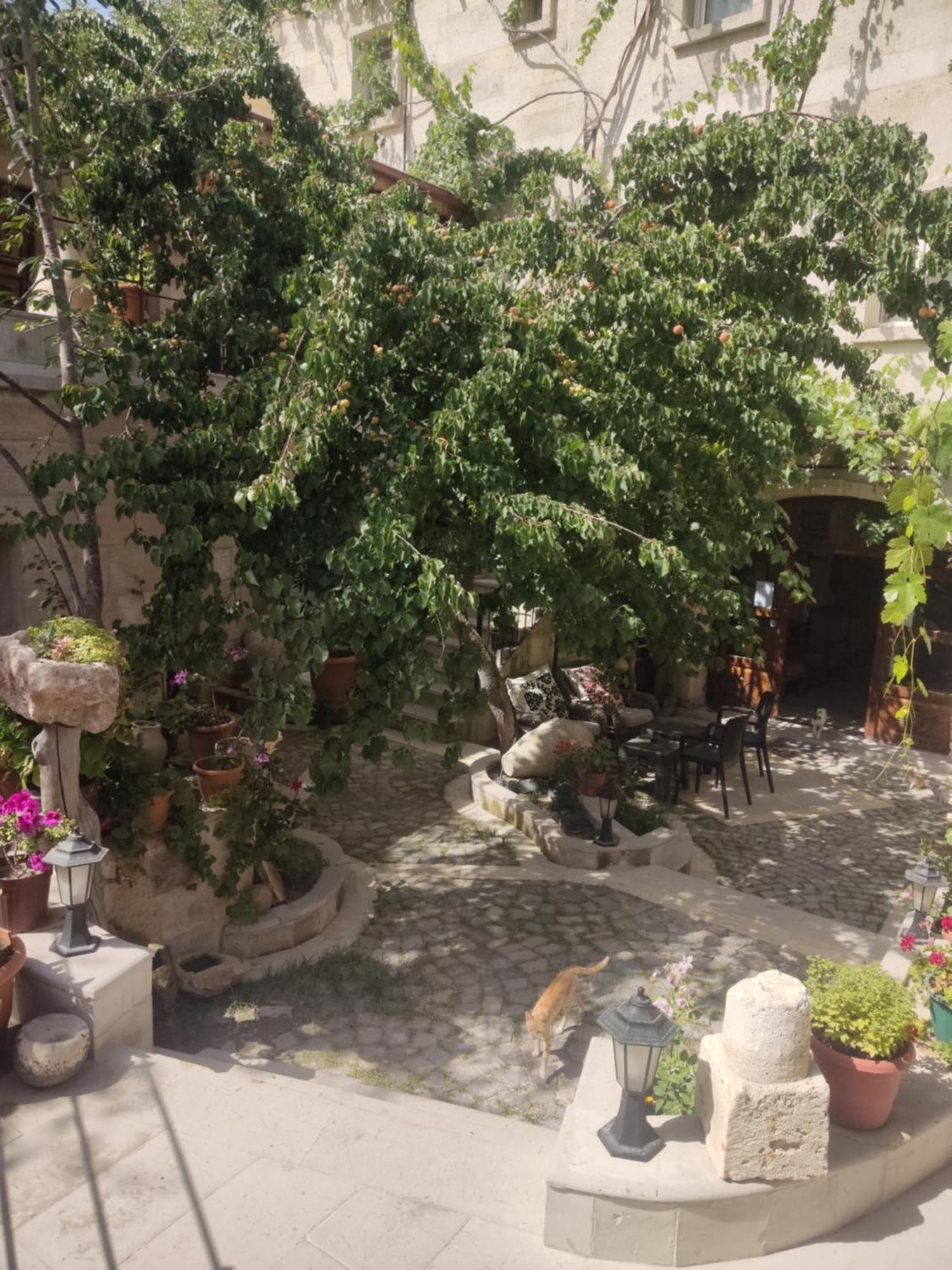 Luwian Stone House Ξενοδοχείο Γκόρεμε Εξωτερικό φωτογραφία